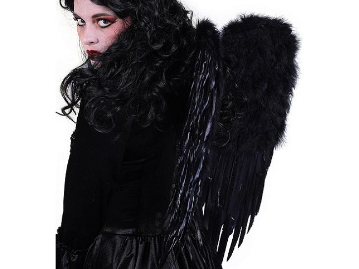 Engelsflügel schwarz